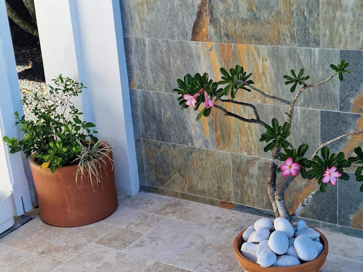 Appartements De Luxe . Propriete De Luxe Baie-Mahault Εξωτερικό φωτογραφία